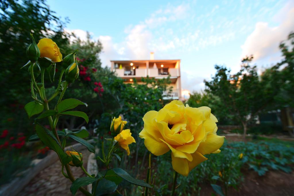 Apartments Silvana Sunset View Zadar Exterior foto